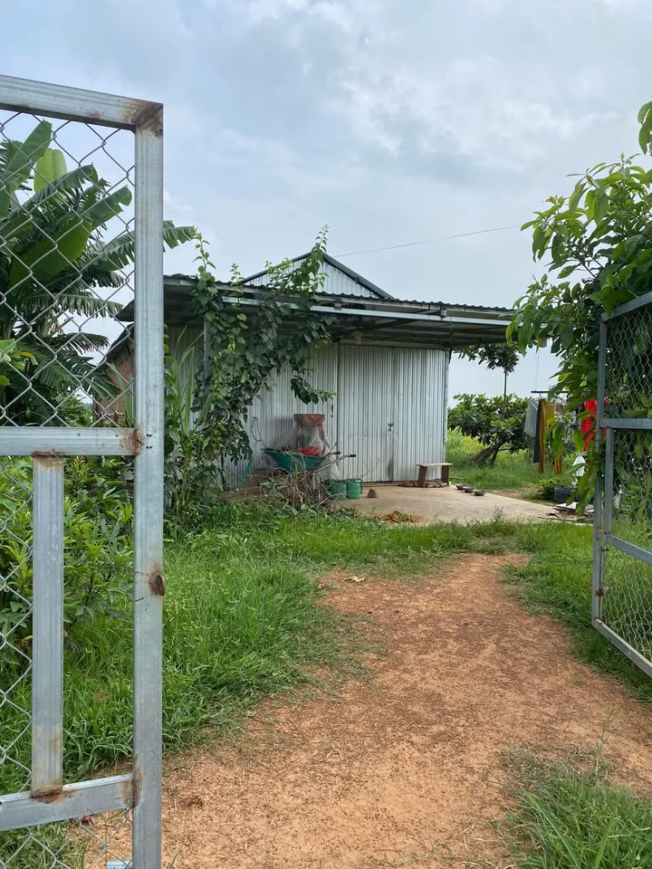 Đất nông nghiệp 2,2ha tại Ea Rốk, Đắk Lắk giá 9.24 tỷ - Pháp lý rõ ràng, đầu tư sinh lời!