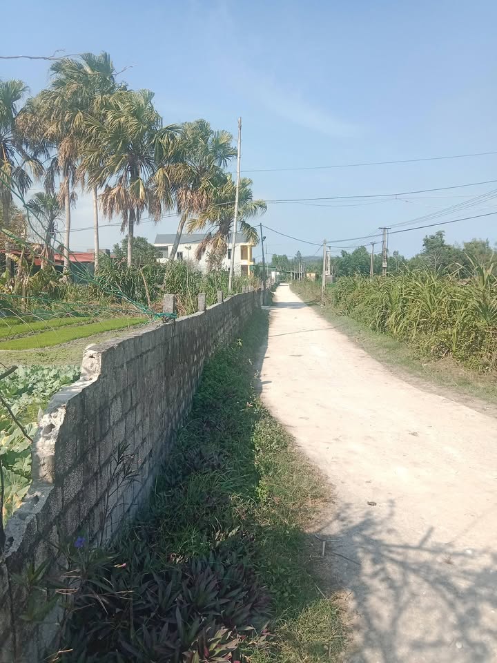 Đất thổ cư 588m² tại Thôn 4, Phường Xuân Lâm, Thị xã Nghi Sơn - Cơ hội đầu tư hấp dẫn!