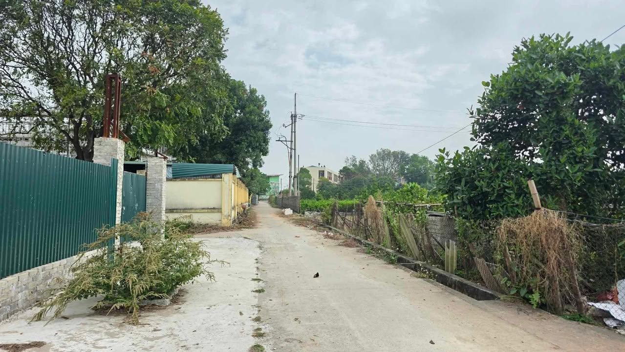 Đất nông nghiệp 1000m² tại Lệ Chi, Gia Lâm chỉ 1 tỷ - Phù hợp làm vườn nghỉ dưỡng!