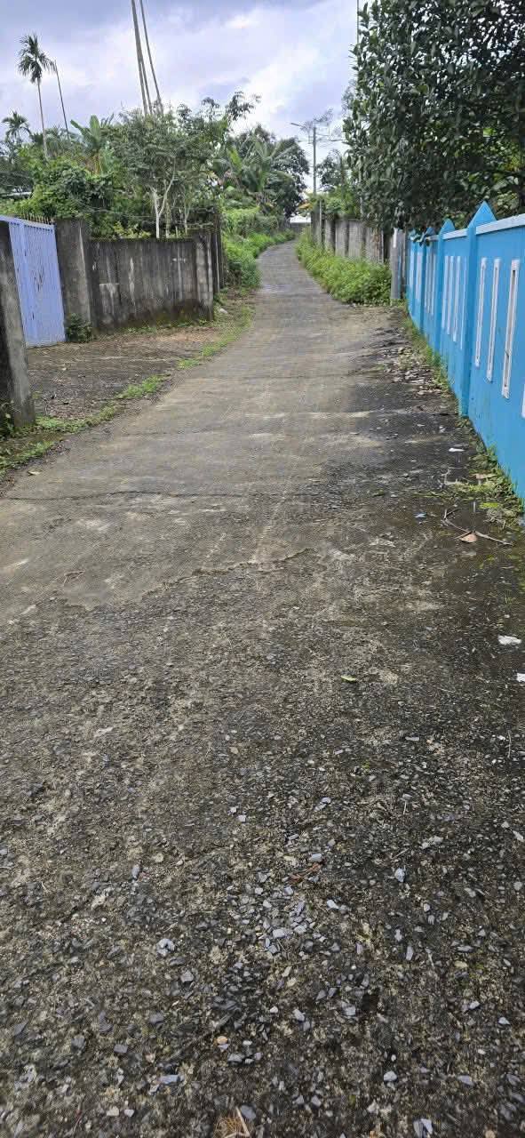 Khu đất farm 2333.8m² tại Hòa Ninh, Đà Nẵng - Đầu tư sinh lời ngay!