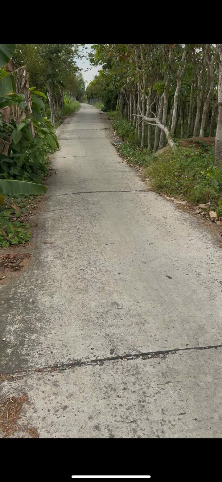 Đất nền xã Hòa Thành, huyện Lai Vung 2971m² giá 1.158 tỷ - Đầu tư sinh lời ngay!