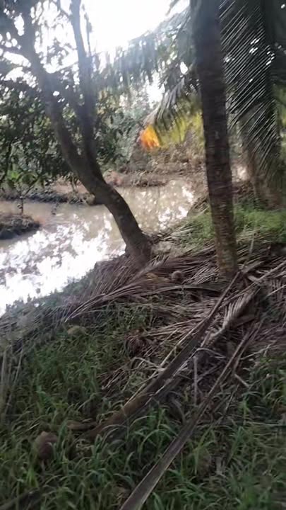 Đất nông nghiệp Vĩnh Xuân 80.000m² giá 1.32 tỷ - Thích hợp làm vườn chân núi