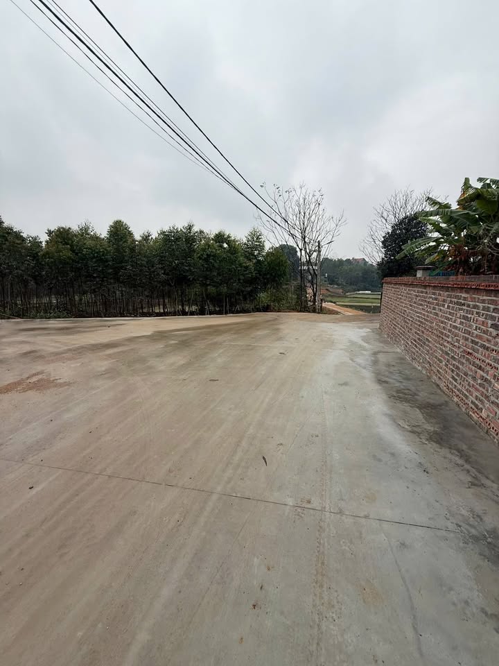 Đất thổ cư 120m² tại Chu Hóa, Việt Trì - Tiềm năng đầu tư lớn!