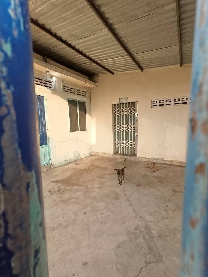 Đất nền khu phố 6, Thị trấn Phước Dân, 259m² giá chỉ 1.5 tỷ - Đầu tư sinh lời ngay!