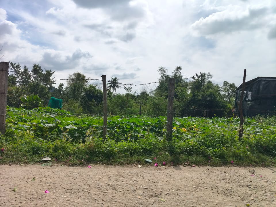 Đất nền Quận Ngũ Hành Sơn 200m² giá 1.5 tỷ - Cơ hội vàng cho nhà đầu tư!