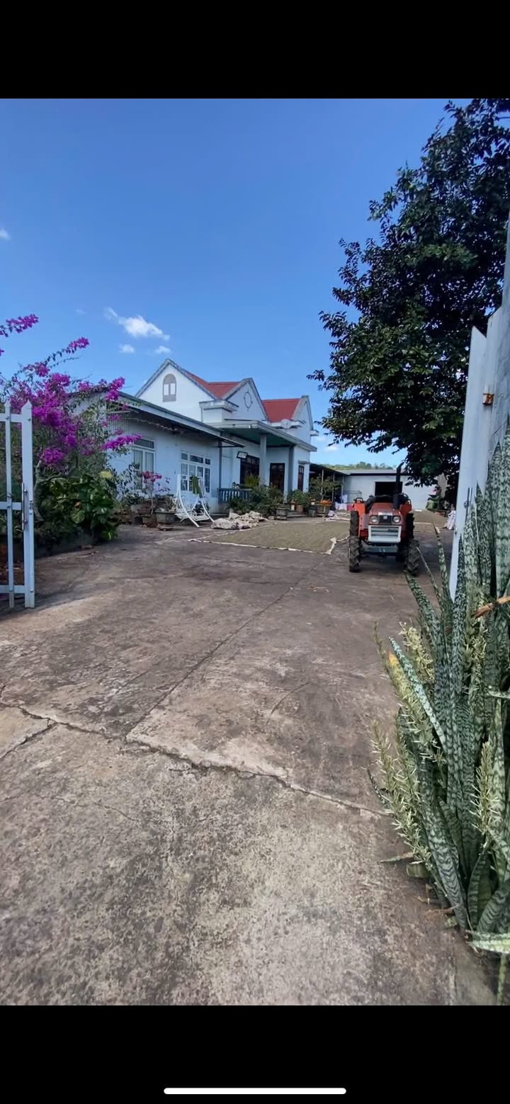 Đất Farm 16000m² tại Xã Tân Triều, Huyện Thanh Trì - Giá chỉ 9.2 tỷ