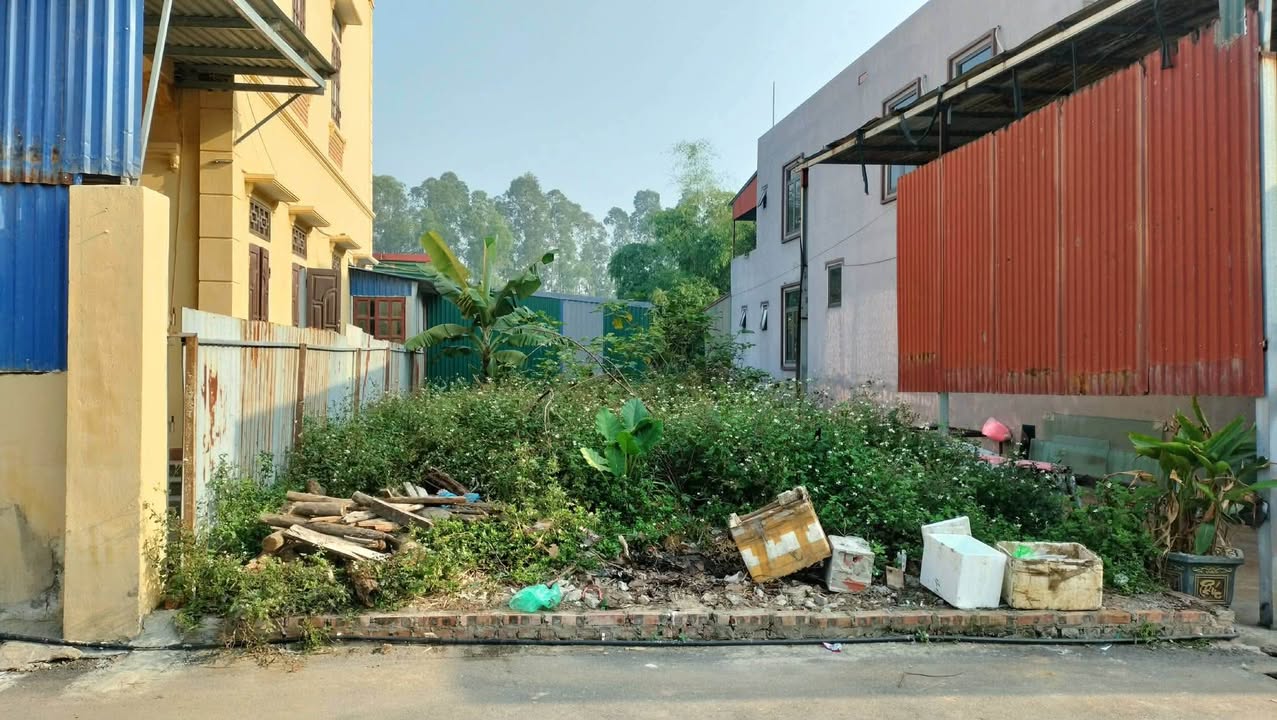 Đất nền Xã Mai Đình, Huyện Sóc Sơn, 90m² giá 4.5 tỷ - Cơ hội đầu tư hấp dẫn!