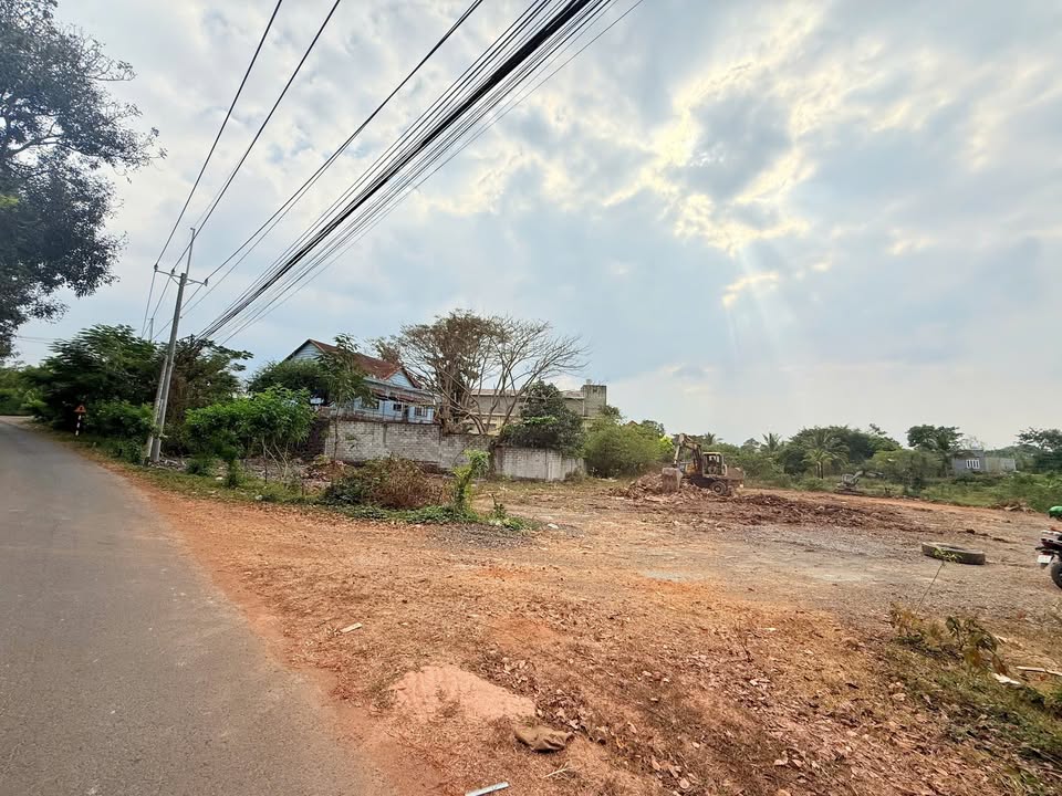 Đất Mặt Tiền Đường Điểu Xiển, Biên Hòa 130m² giá 1.1 tỷ - Cơ hội vàng đầu tư!