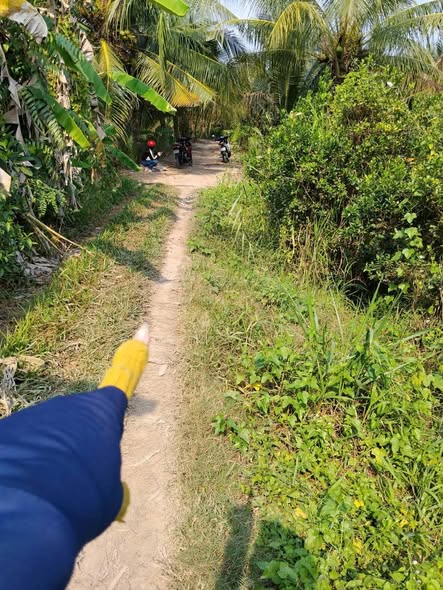 Đất vườn 1592m² Xã An Phước, Huyện Mang Thít giá 850 triệu - Cơ hội đầu tư tuyệt vời!