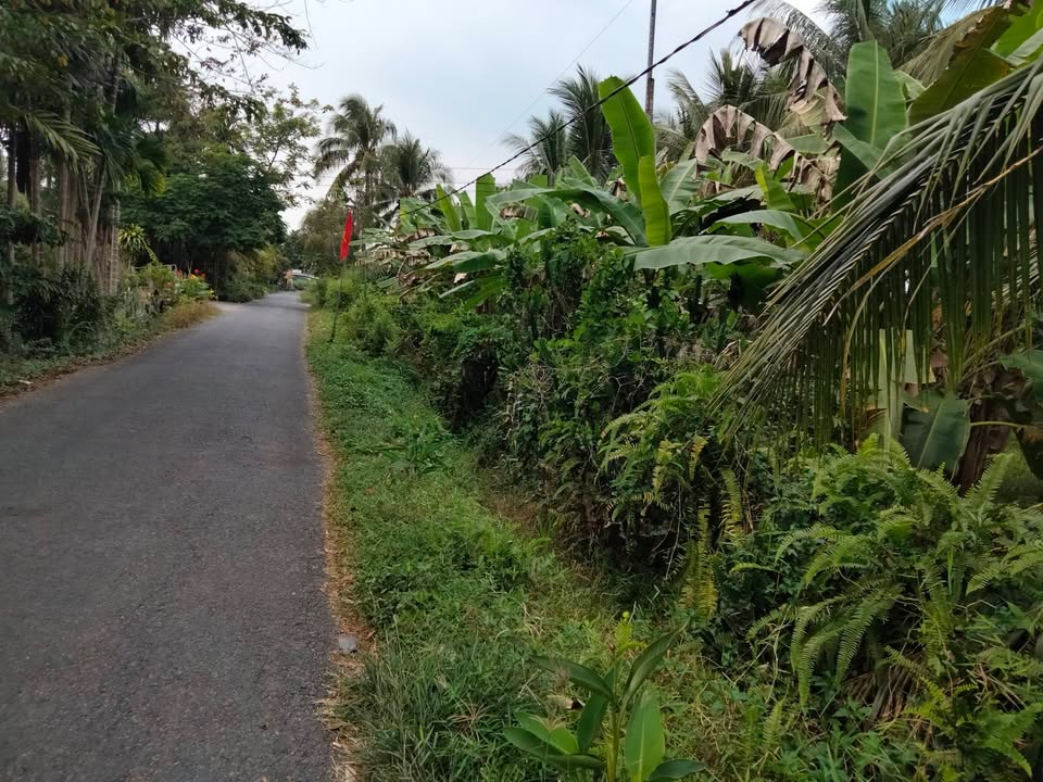 Đất nông nghiệp Xã Trà Côn, Huyện Trà Ôn, 170.000m² giá 5 tỷ - Cơ hội đầu tư hấp dẫn!