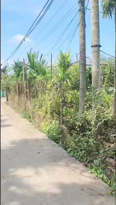 Đất nền Hòa Tiến, Đà Nẵng 100m² giá 1.25 tỷ - Đường ô tô thông thoáng!