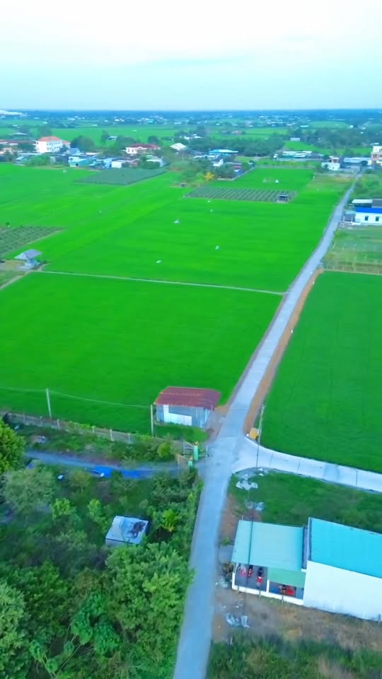 Đất nền Tân Trụ Long An 78m² giá 290 triệu - Cơ hội đầu tư hiếm có!