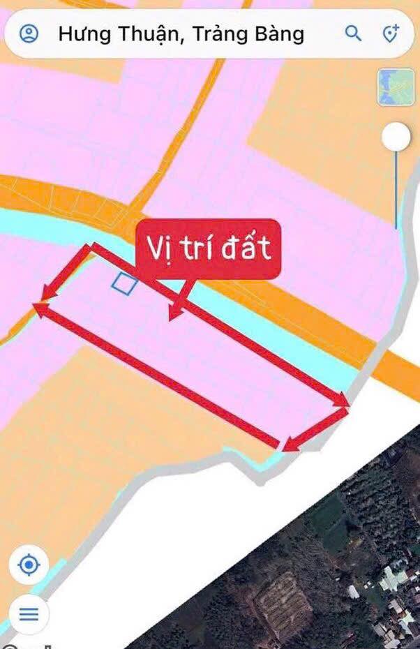 Trang trại 22.000m² tại Hưng Thuận, Trảng Bàng chỉ 22 tỷ - Cơ hội đầu tư không thể bỏ lỡ!