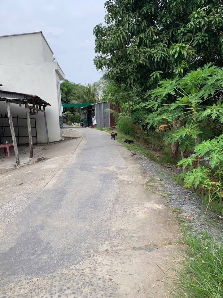 Nhà kiên cố tại Vĩnh Trạch, An Giang 72m² giá 600 triệu - Đường rộng thoáng đãng!