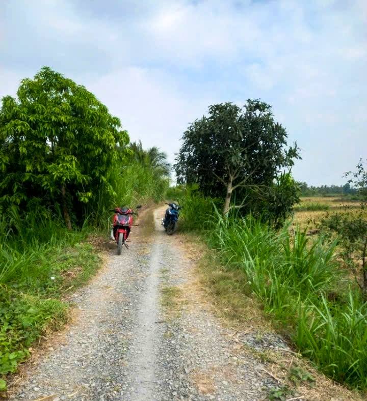 Đất 2 mặt tiền kênh Tổng Long, xã Hàm Giang, 20.000m² giá 2 tỷ - Cơ hội đầu tư hấp dẫn!