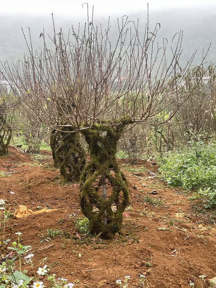 Bán nhà 2,5 tầng tại phường Quỳnh Lâm, Hòa Bình - Giá chỉ 2 tỷ!