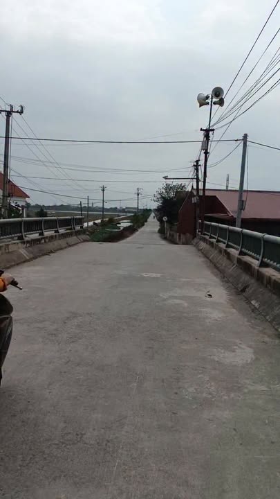 Đất nền Xóm 11 Kim Định 165m² giá 800 triệu - Vị trí kinh doanh đắc địa!