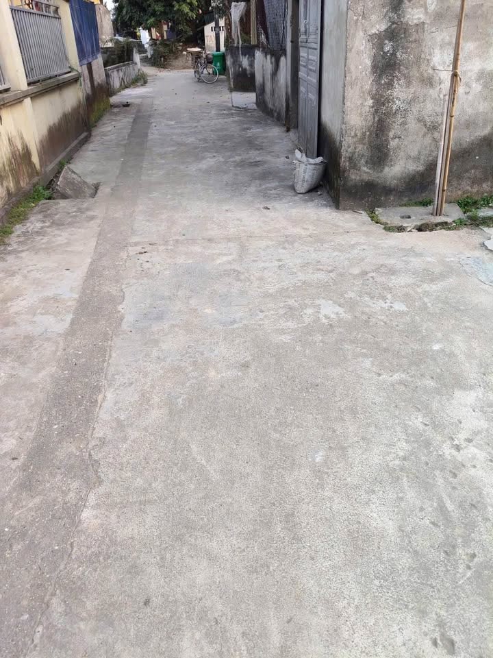 Đất nền 103m² tại Quốc Tuấn, An Lão - Giá chỉ 850 triệu - Cơ hội vàng cho đầu tư!