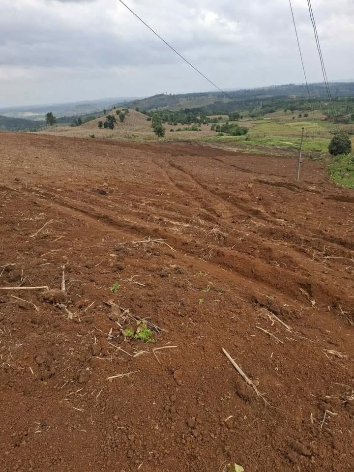 Đất nền 10.000m² tại Xã Đắk Liêng, Huyện Lắk giá 640 triệu - Cơ hội đầu tư tuyệt vời!