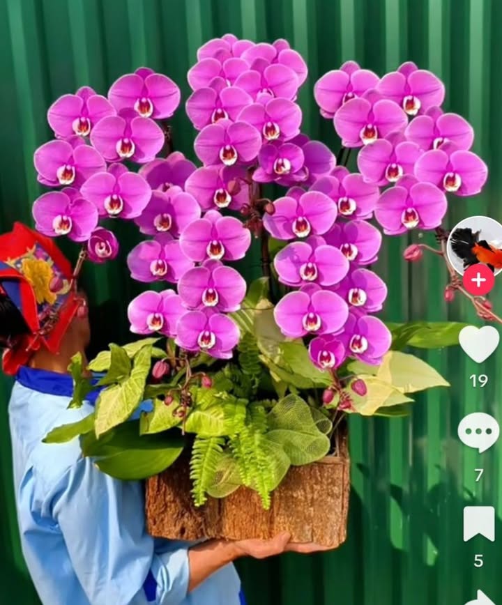 Đất nền chính chủ Thị Trấn Phúc Thọ 60m² giá 2 tỷ - Lô góc thuận tiện!