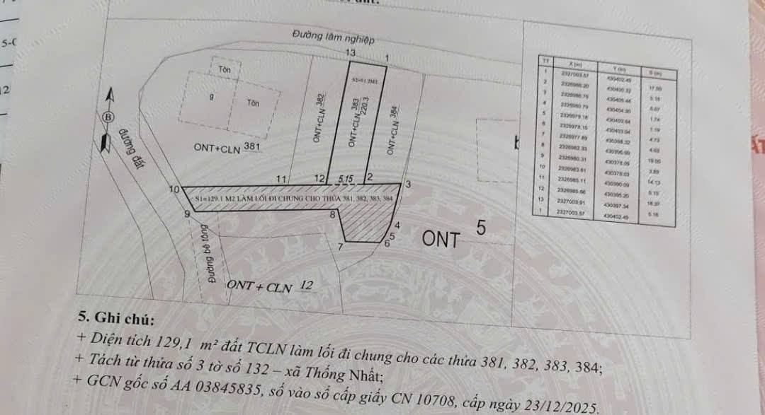 Đất thổ cư Thôn Đình Thống Nhất, Hạ Long 91m² giá 650 triệu - Sổ hồng chính chủ!