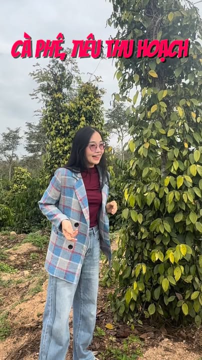 Farm đất rẫy 20.000m² tại Thôn Thanh Xuân, Đắk Lắk giá 4 tỷ - Cơ hội đầu tư hấp dẫn!