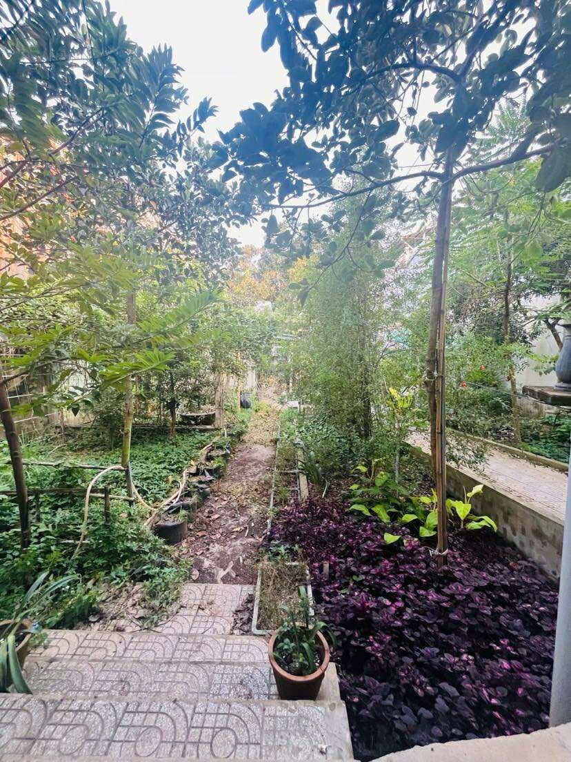 Nhà cho thuê 500 m² đường 3/2, Ninh Kiều - Tiện kinh doanh với sân rộng