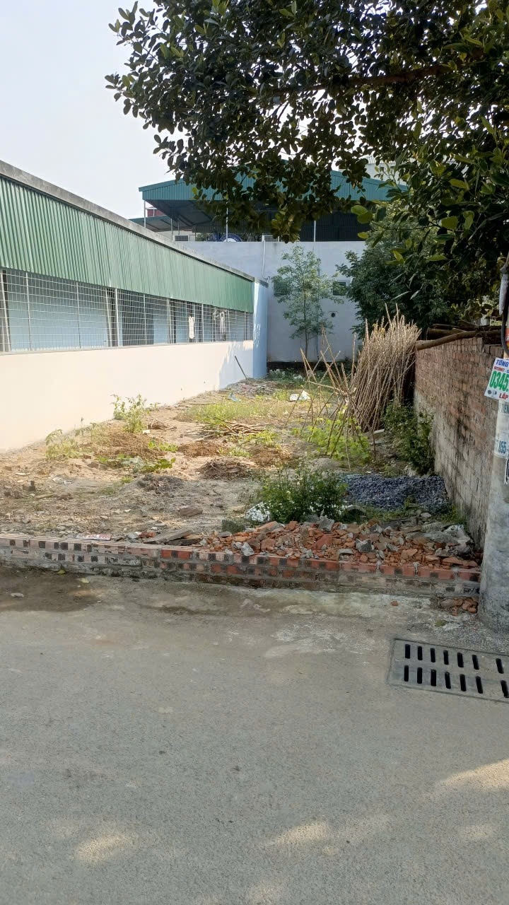 Đất nền Hòa Lạc 165m² giá chỉ 3 tỷ - Vị trí đắc địa đối diện ĐHQG