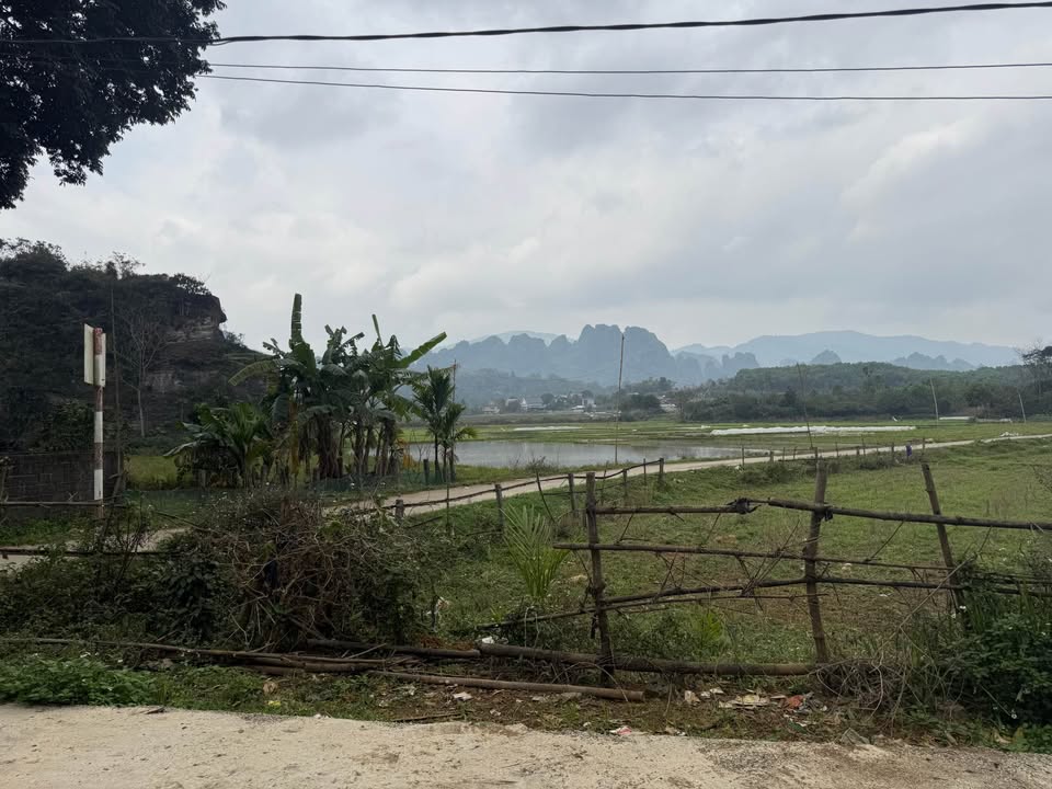 Đất thổ cư 100m² tại Cao Dương, Lương Sơn chỉ 450 triệu - Đầu tư sinh lời ngay!