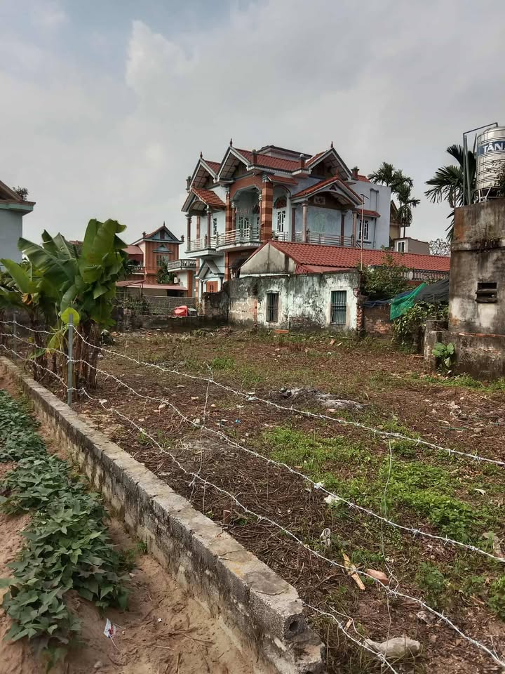 Đất chính chủ thôn An Tào, xã Cương Chính, 281m² - Pháp lý rõ ràng, đầu tư sinh lời!