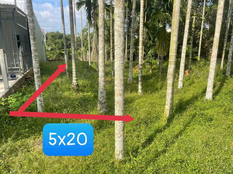 Đất nền Hoàng Văn Thụ, Quảng Ngãi 100m² giá chỉ 4 tỷ - Đầu tư sinh lời!