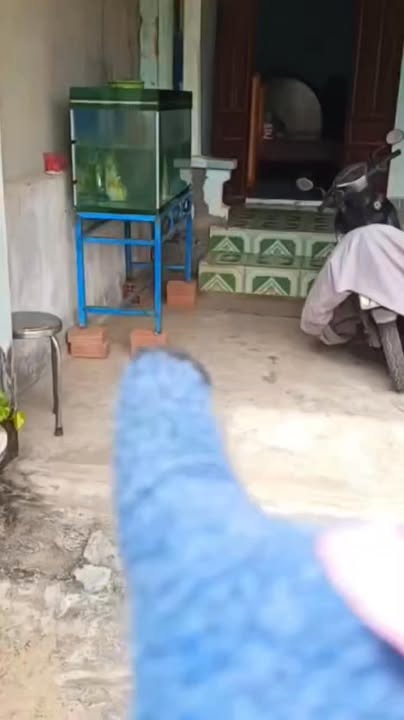 Đất liền kề biển Hoài Hải 227,4m² - Cơ hội đầu tư tuyệt vời!