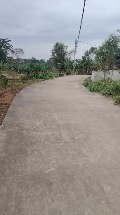 Đất nền Xã Quang Thịnh, Huyện Lạng Giang 137m² giá 800 triệu - Cơ hội đầu tư hấp dẫn!