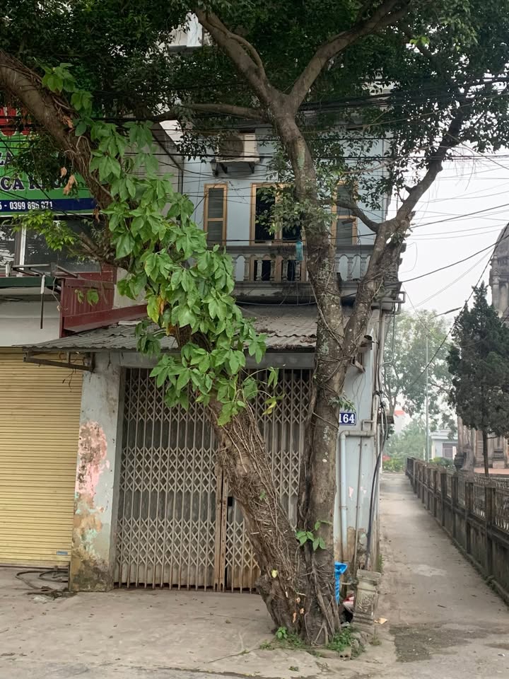 Cho thuê nhà nguyên căn 2 tầng 1 tum tại Đại Xuyên - Phú Xuyên - Vị trí đắc địa cho kinh doanh!