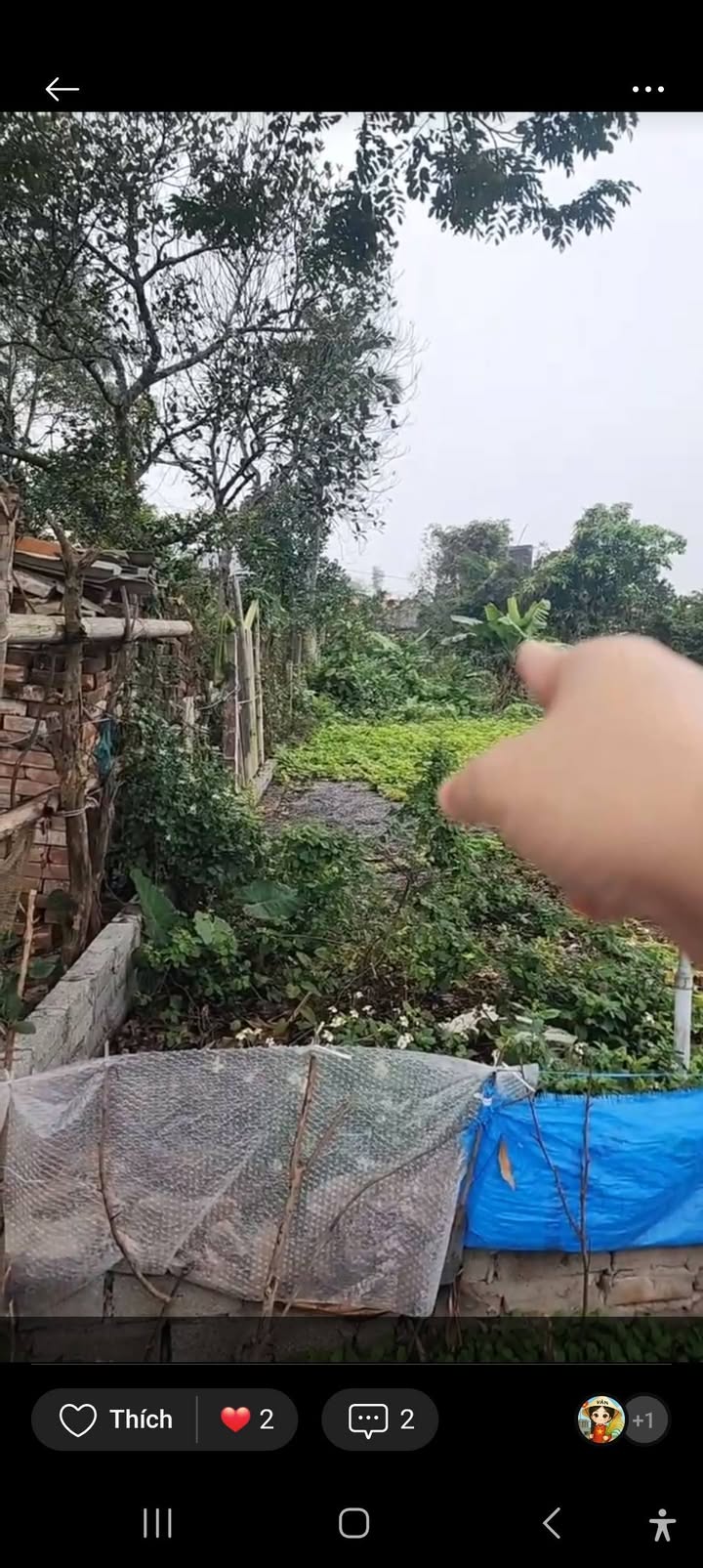 Đất thổ cư thôn Ngọ, Chuyên Mỹ, 100m² giá 3.2 tỷ - Giao thông thuận lợi!