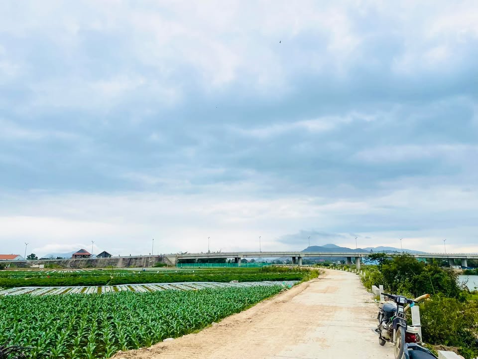 Lô đất vườn 1200m² tại Quy Nhơn giá chỉ 485 triệu - Cơ hội đầu tư tuyệt vời!