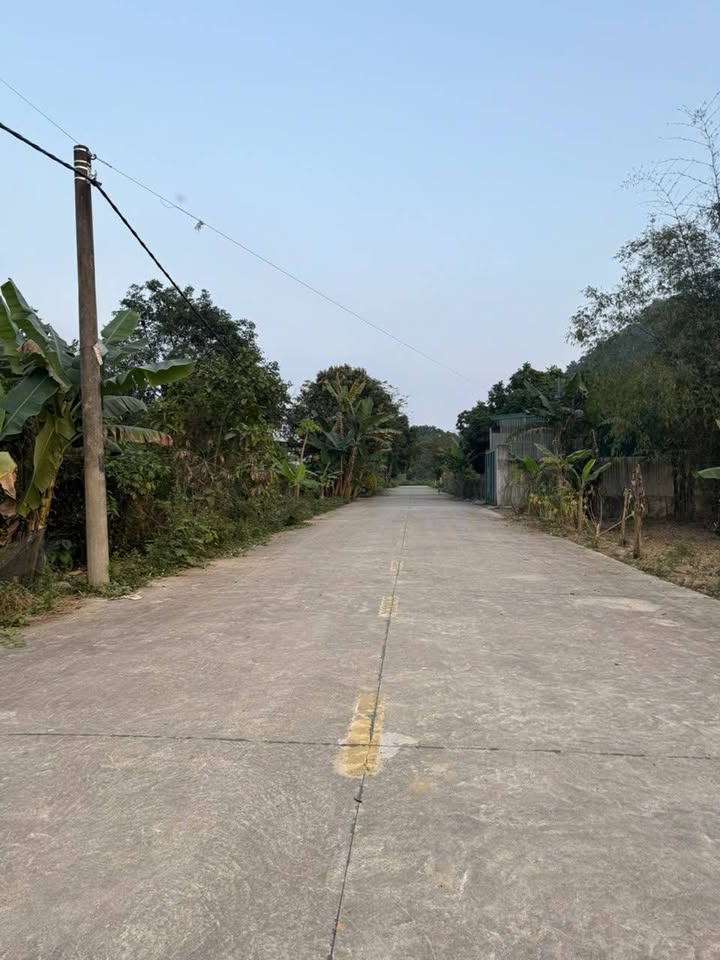 Đất nền Yên Sơn, Tam Điệp 100m² giá 1 tỷ - Cơ hội đầu tư tuyệt vời!