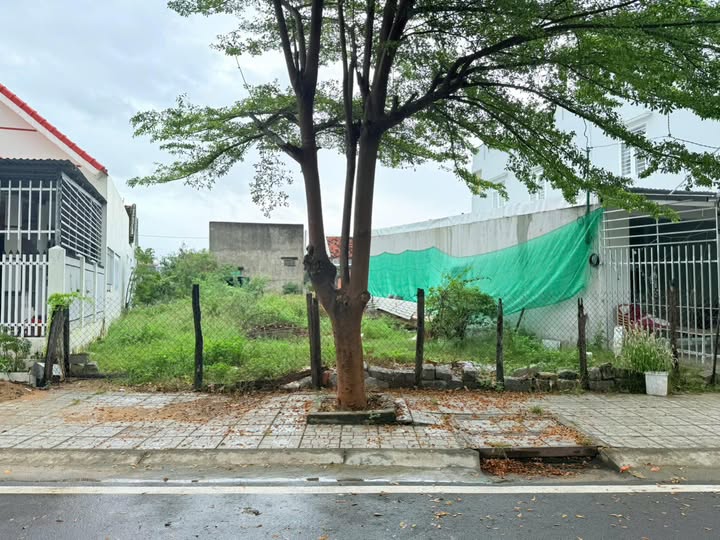 Đất nền Vạn Hưng 220m² giá 3 tỷ - Mặt tiền đường lớn, kinh doanh thuận lợi!