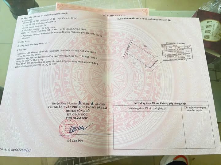 Đất nền bán gấp tại Xã Tứ Yên, Huyện Sông Lô, 205m² - Giá cực đẹp!