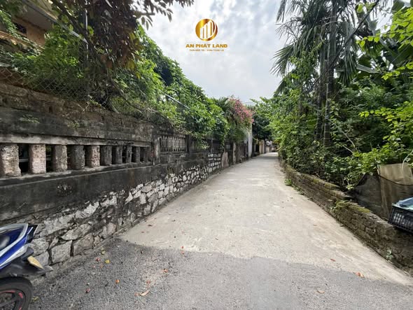 Đất nền Phường Ninh Khánh 53m² giá 1.5 tỷ - Cơ hội đầu tư hấp dẫn!