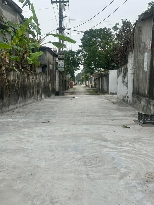 Đất đẹp Quang Trung, Kiến Xương 205m² giá chỉ 600 triệu - Cơ hội đầu tư hấp dẫn!