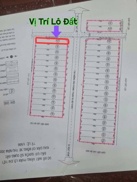 Đất thổ cư 150m² tại xã Ân Thạnh, Hoài Ân chỉ 1.2 tỷ - Đầu tư sinh lời ngay!