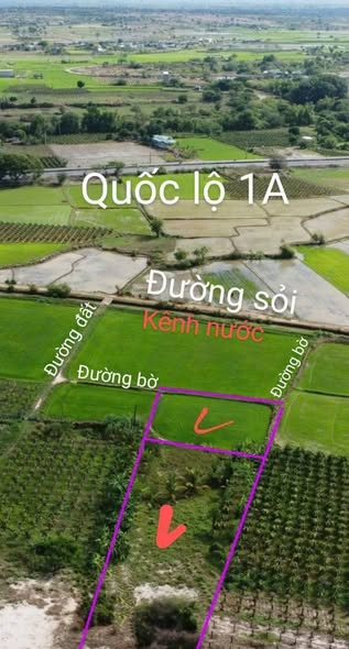 Đất vườn 2080m² tại Xã Hồng Thái, Bình Thuận - Cơ hội đầu tư hấp dẫn!