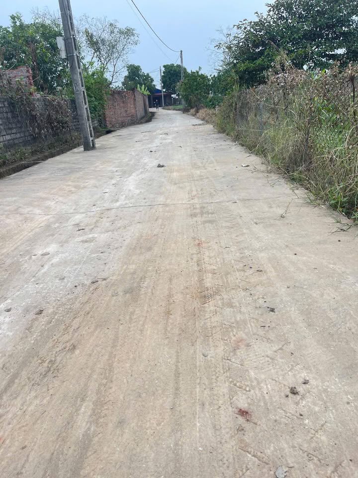 Đất 2 mặt tiền xã Đoan Bái, 304m² giá 1.65 tỷ - Đầu tư sinh lời ngay!