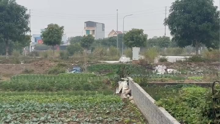 Đất nền sổ đỏ chính chủ tại xã Hoằng Đức, 120m² chỉ 1,5 tỷ - Cơ hội đầu tư sinh lời!