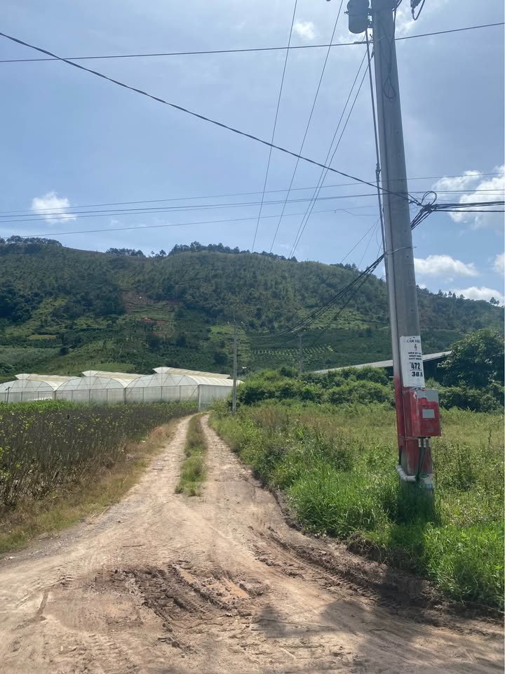 Đất nền Farm 14,400m² Thị trấn Đinh Văn, Lâm Hà giá dưới 1 tỷ - Cơ hội hiếm có!