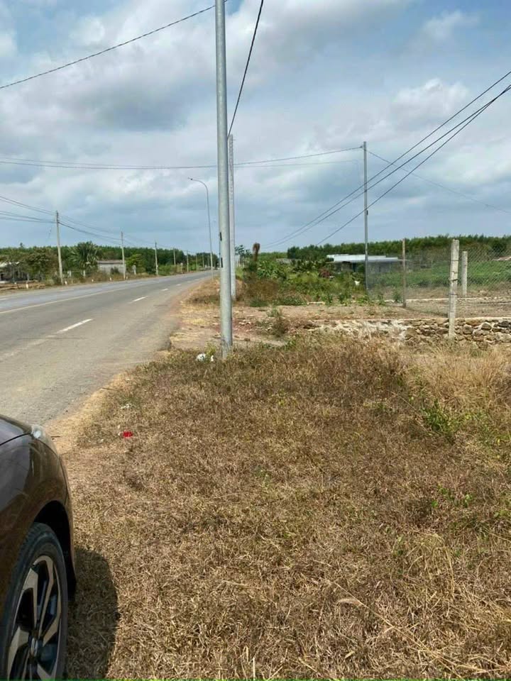 Đất nền xã Bình Chánh 1229m² giá 4.999 tỷ - Mặt tiền đường 765 thuận lợi đầu tư!