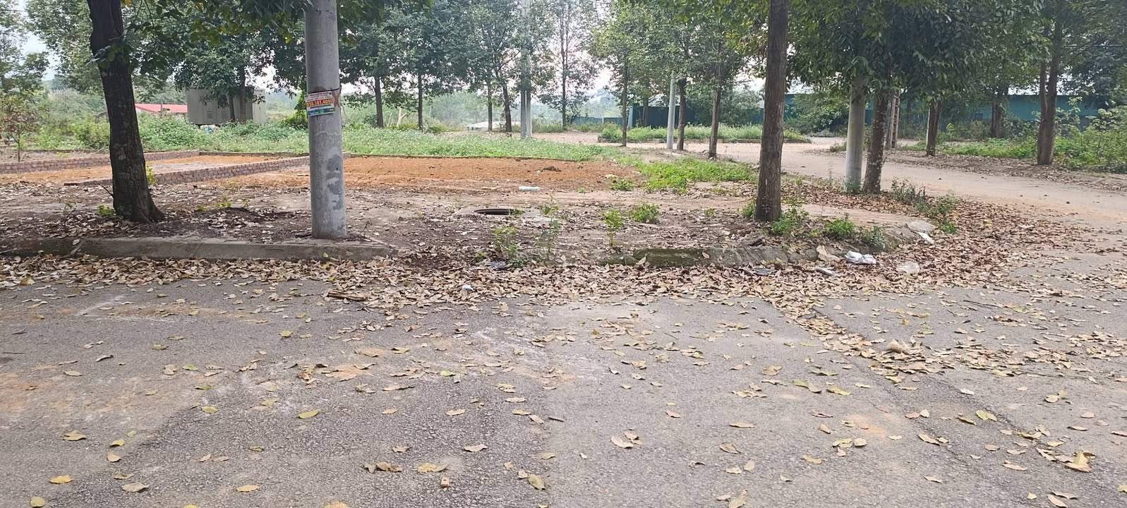 Đất nền TĐC Đại Học Quốc Gia 125m² giá thỏa thuận - Lô góc cực đẹp!