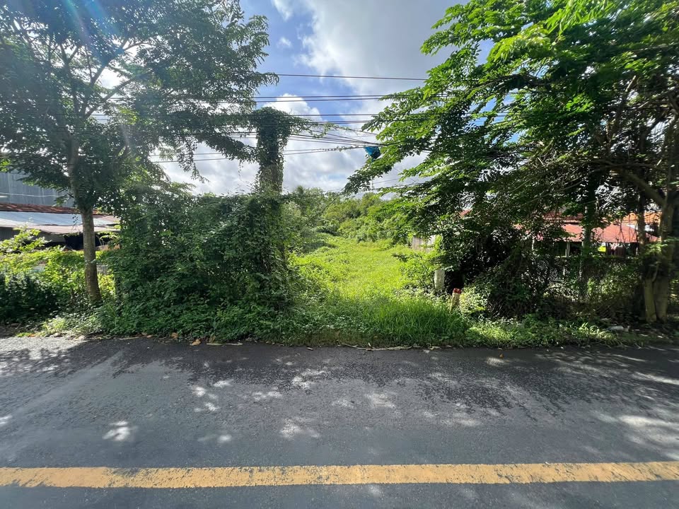 Đất mặt tiền đường ĐH4, xã Hội An Đông, 990m² giá 2.2 tỷ - Tiềm năng kinh doanh lớn!