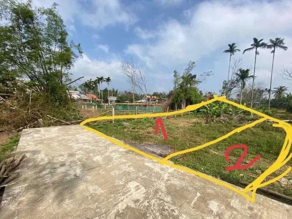 Đất nền 200m² tại Xuân Diệm - Điện Tiến giá 1.5 tỷ - Chính chủ bán gấp!